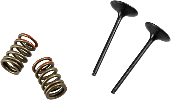 Valve And Spring Kit-322bf7fa3aecad2a33c59bc4f3472a4a.webp