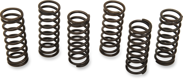 Clutch Spring Kit Black, 1, nordicamoto.ro