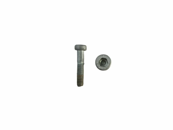 Bolt DIN 6912 - M5x25 SS