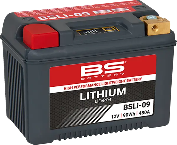 BS BATTERY Lithium Lifepo4 Battery Black -0