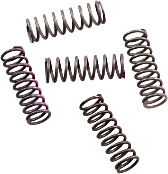 Hi-temp Clutch Spring Kit Steel, 1, nordicamoto.ro