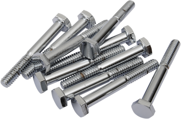 Replacement Hex-head Bolts Silver, 2, nordicamoto.ro