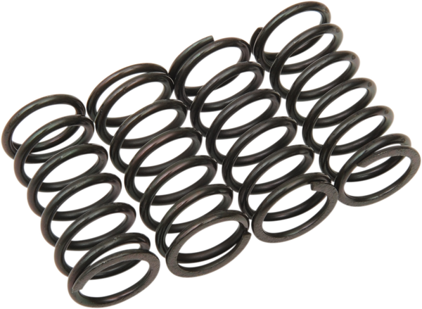 Clutch Spring Kit Black, 1, nordicamoto.ro