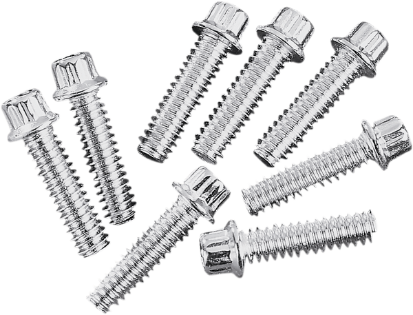 12-point Lifter Base Screws Silver, 1, nordicamoto.ro