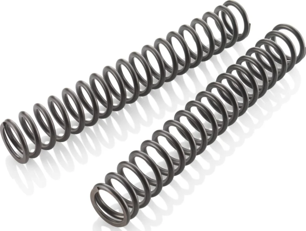 Fork spring set
