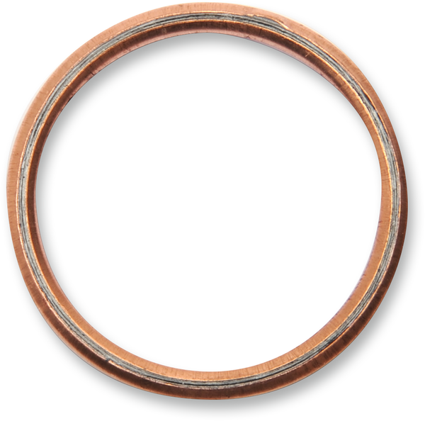 Exhaust Gasket Kit-3792b027984c0cf2389a2f82ceea53d6.webp