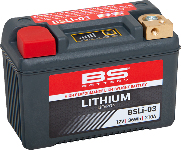 Lithium Lifepo4 Battery Black 