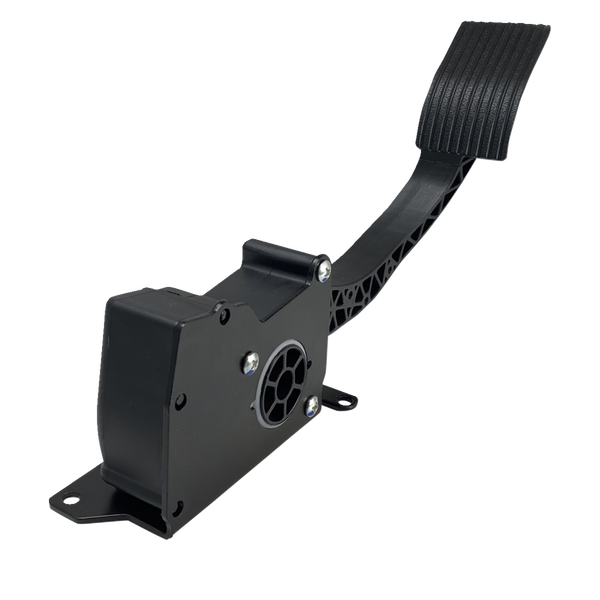 Accelerator Pedal Assembly Black -3892e04c3f7afc0de3e0c999c11e3c01.webp