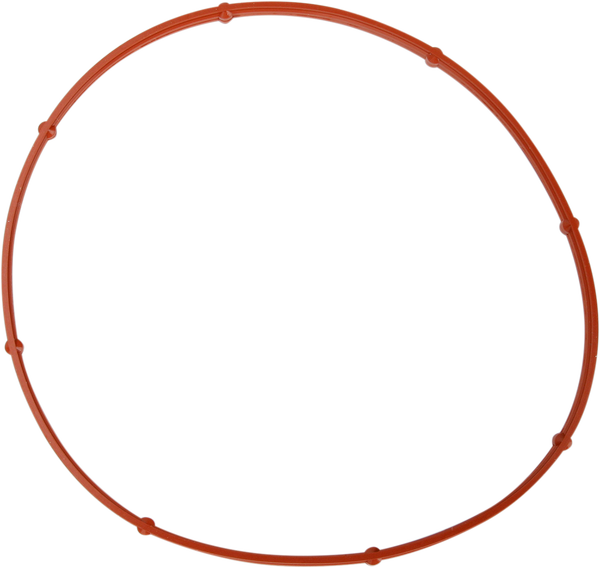 Derby Cover Gasket, 1, nordicamoto.ro