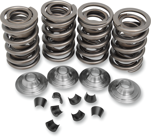 Valve Spring Kit, 2, nordicamoto.ro