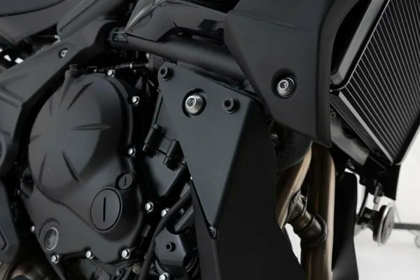 Engine Guard Black -7