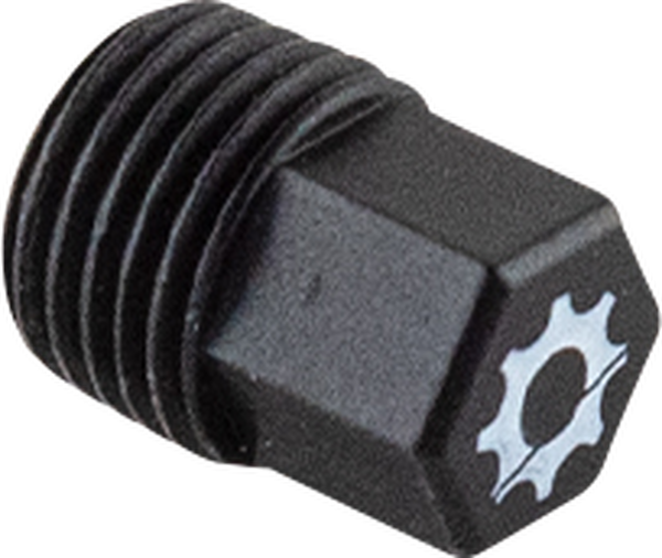 Engine Drain Plug, 4, nordicamoto.ro