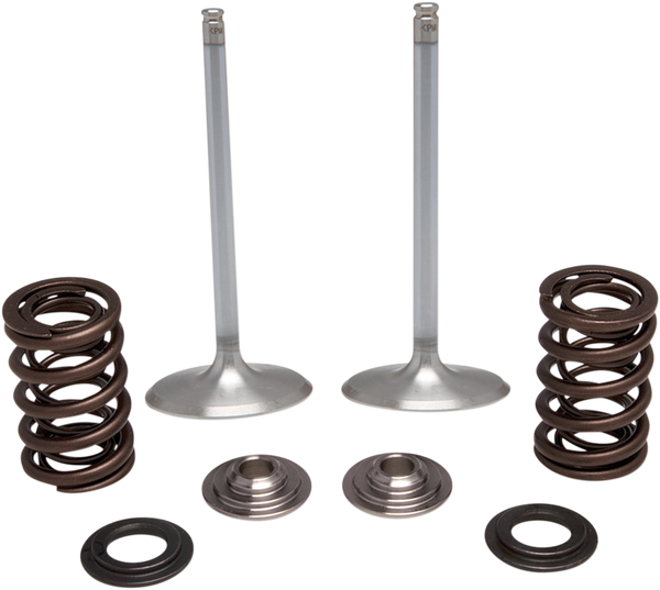 Stainless Steel Conversion Valve And Spring Kit, 1, nordicamoto.ro