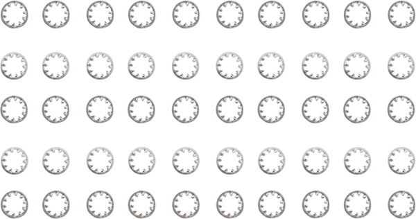 Inside Star Washers Silver, 2, nordicamoto.ro