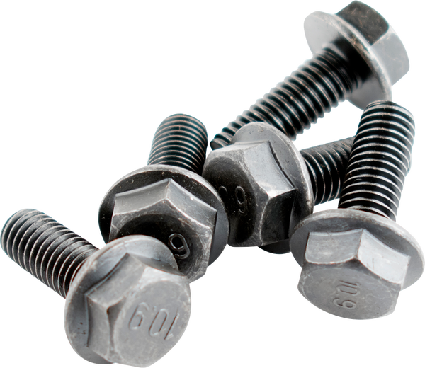 Speed Sensor Magnet Bolt, 1, nordicamoto.ro