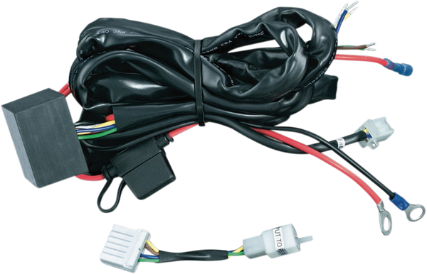 Trailer Wiring Harness And Relay, 1, nordicamoto.ro