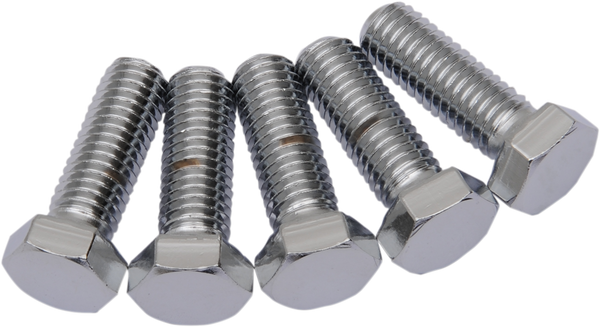 Replacement Hex-head Bolts Silver, 1, nordicamoto.ro