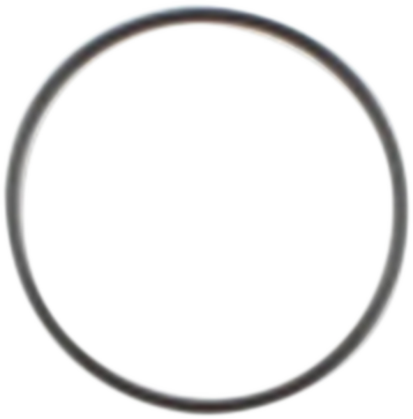 Starter O-ring, 1, nordicamoto.ro