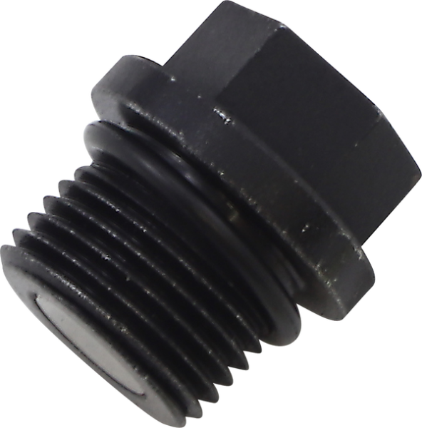 Transmission Drain Plug And O-ring, 1, nordicamoto.ro