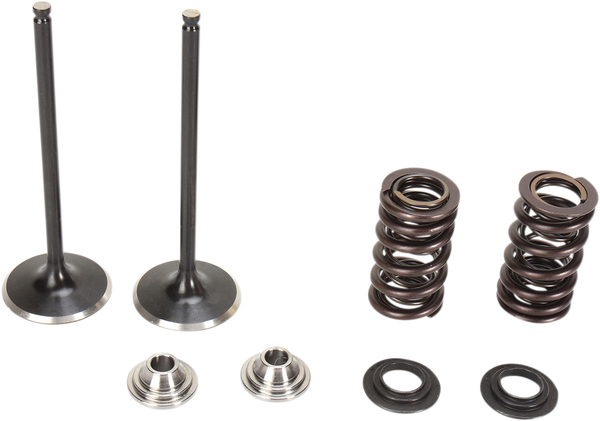 Stainless Steel Conversion Valve And Spring Kit, 1, nordicamoto.ro