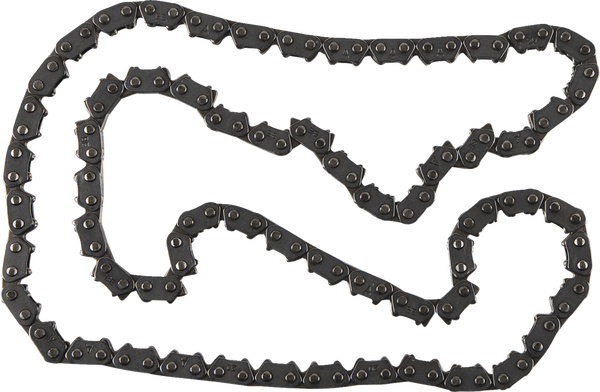 Cam Chain Raw-45b9fd6ed38568001d967fede38f38b2.webp