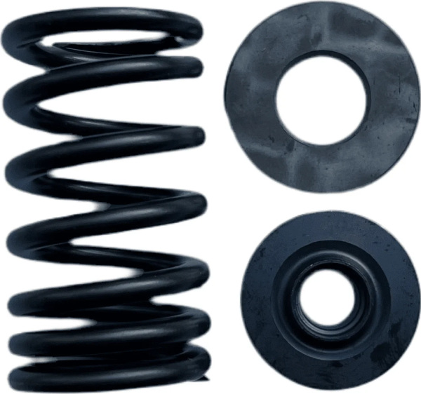 VALVE SPRING KIT 09