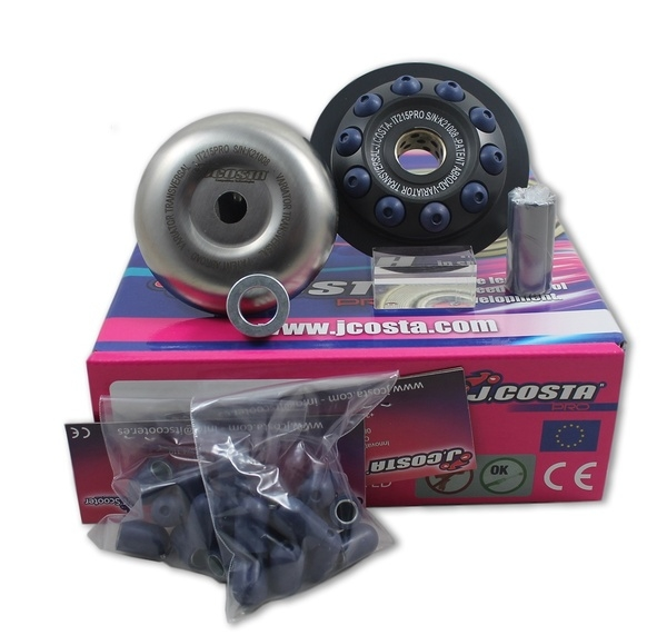 Pro Series Variator, 2, nordicamoto.ro