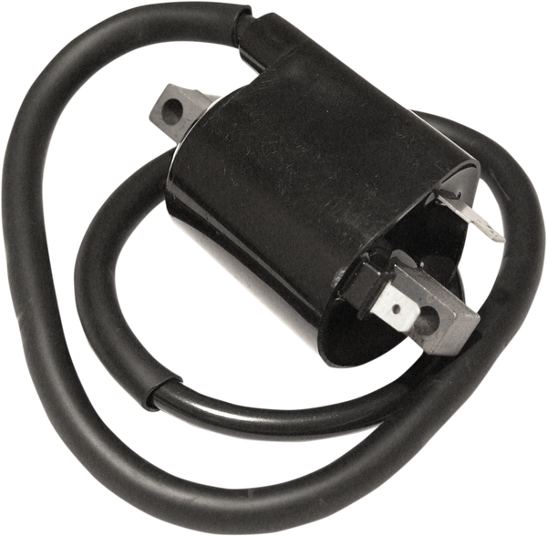 Oe-style Replacement Ignition Coil Black 