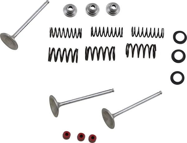 MOOSE RACING Stainless Intake Valve And Spring Kit 