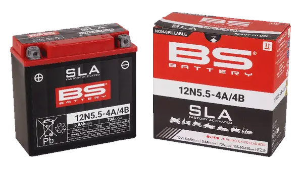 BS BATTERY Maintenance-free Battery Black -0