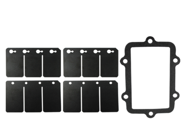 Sno-X Reed valve repair kit, Ski-Doo