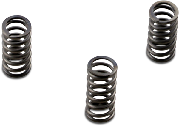 Csk Series Heavy Duty Clutch Spring Kit, 1, nordicamoto.ro