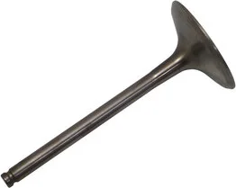 Supapă de motor din titan, 1, nordicamoto.ro