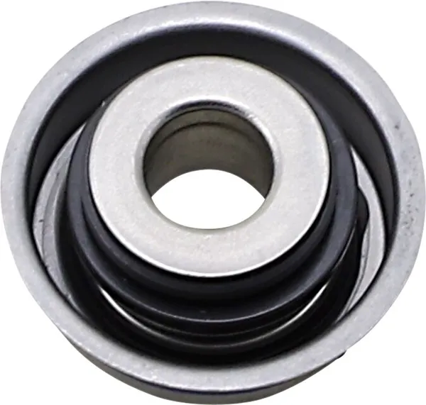 Water Pump Seal