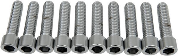 Socket-head Bolts Silver, 1, nordicamoto.ro