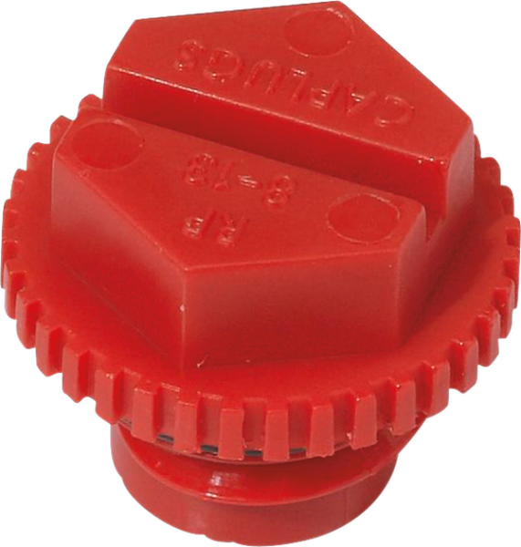 Clutch Cover Drain Plug-2