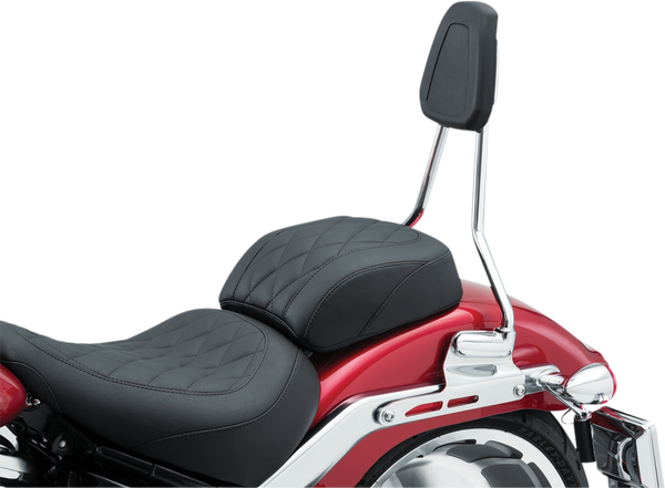 Sissy Bar Harley Davidson Black, Silver, 1, nordicamoto.ro