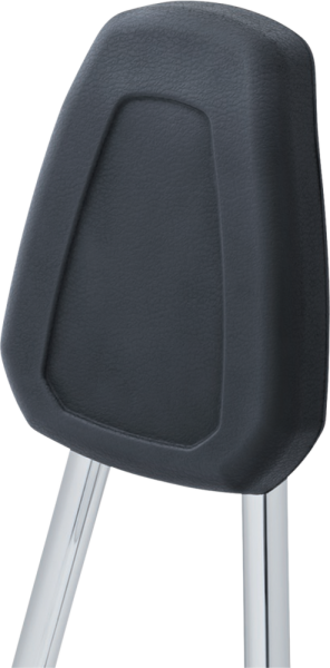 Sissy Bar Harley Davidson Black, Silver, 5, nordicamoto.ro
