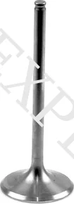 INTAKE VALVE, 1, nordicamoto.ro