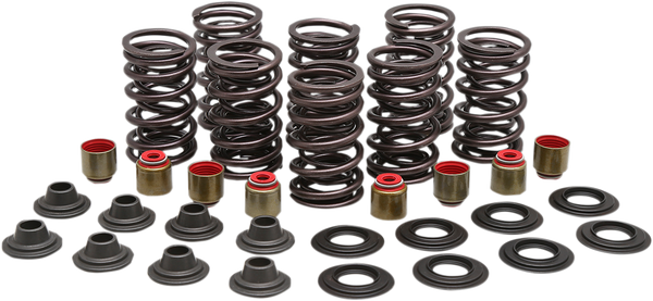 Valve Spring Kit, 1, nordicamoto.ro