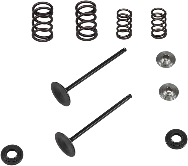 Stainless Steel Conversion Valve And Spring Kit, 1, nordicamoto.ro