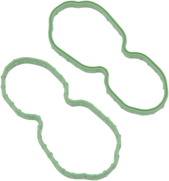 Fuel Pump Door Seal Green, 1, nordicamoto.ro