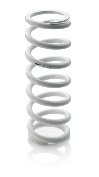 Shock absorber spring-2