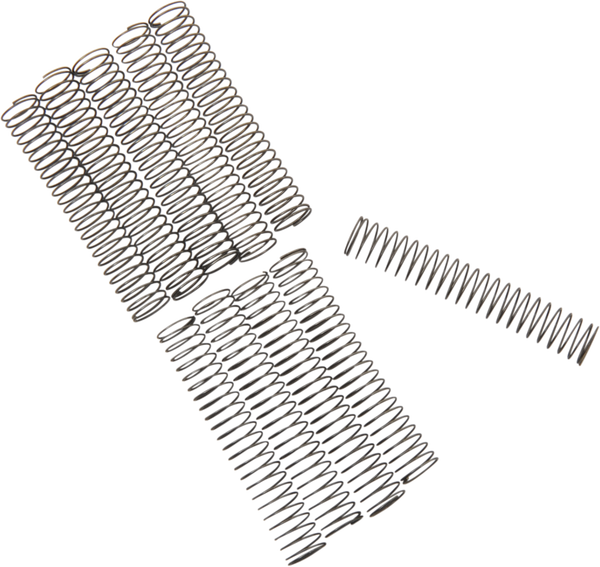 Oil Pump Relief Valve Springs, 1, nordicamoto.ro