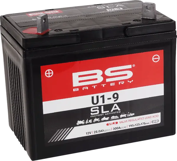 BS BATTERY Sla Factory- Activated Agm Maintenance-free Battery Black -2