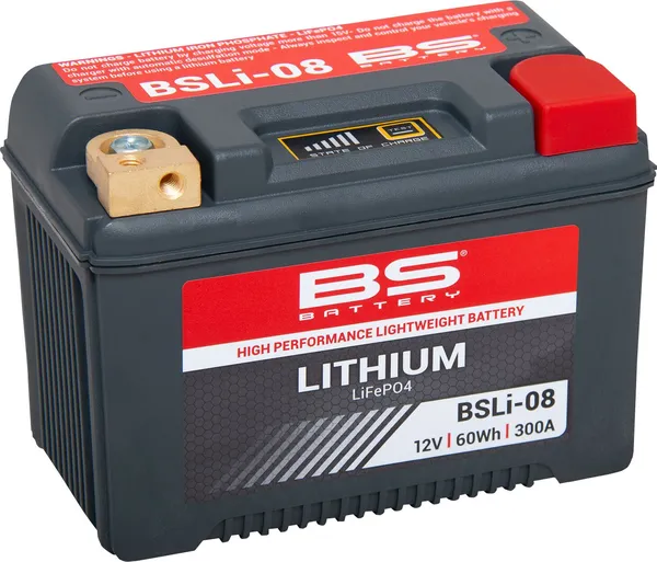 Lithium Lifepo4 Battery Black-0