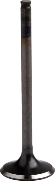 Engine Valve