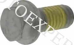 SPECIAL SCREW M6X13 WS-8 10.9, 3, nordicamoto.ro