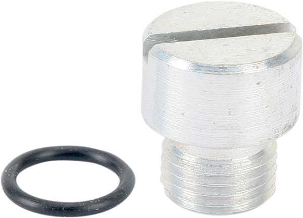 Oem-style Oil Pump Plug Silver, 2, nordicamoto.ro