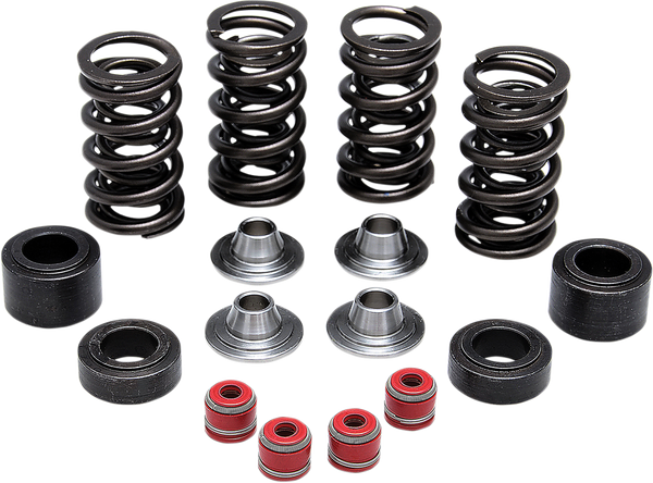 Valve Spring Kit, 1, nordicamoto.ro